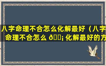 八字命理不合怎么化解最好（八字命理不合怎么 🐡 化解最好的方法）